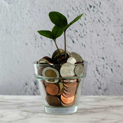 plant growing from a coin jaw